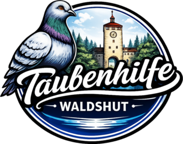 Taubenhilfe Waldshut